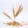 L'huile de germe de blé : est ce une huile alimentaire ?