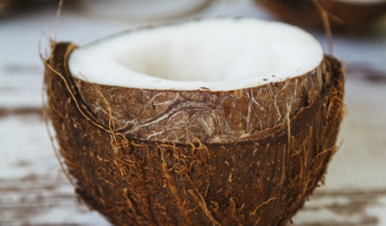 Doit-on se méfier de l’huile de coco ?
